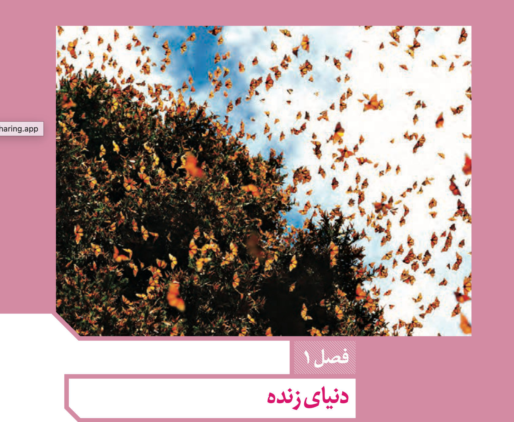 سوالات تستی زیست شناسی ۱ فصل ۱